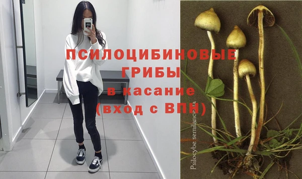 спиды Баксан
