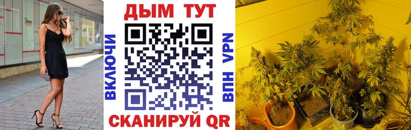 Каннабис Bruce Banner Лениногорск